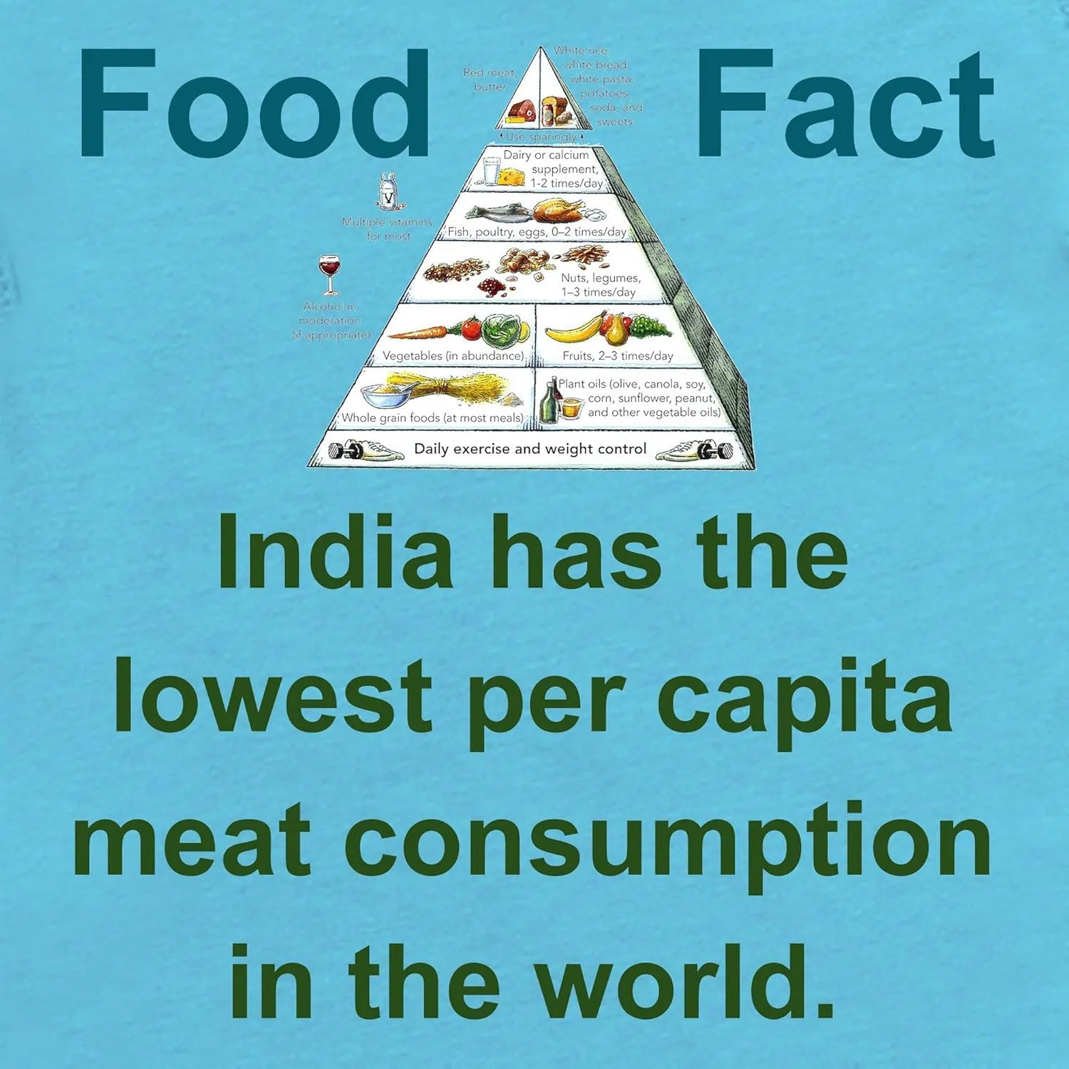 CafePress India Has The Lowest Per Capita Food Fact Body Suit Cute Infant Bodysuit Baby Romper Dark