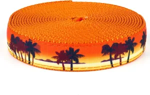 Country Brook Design - Caribbean Sunset on Orange Nylon Webbing (3/4 Inch, 10 Yards)
