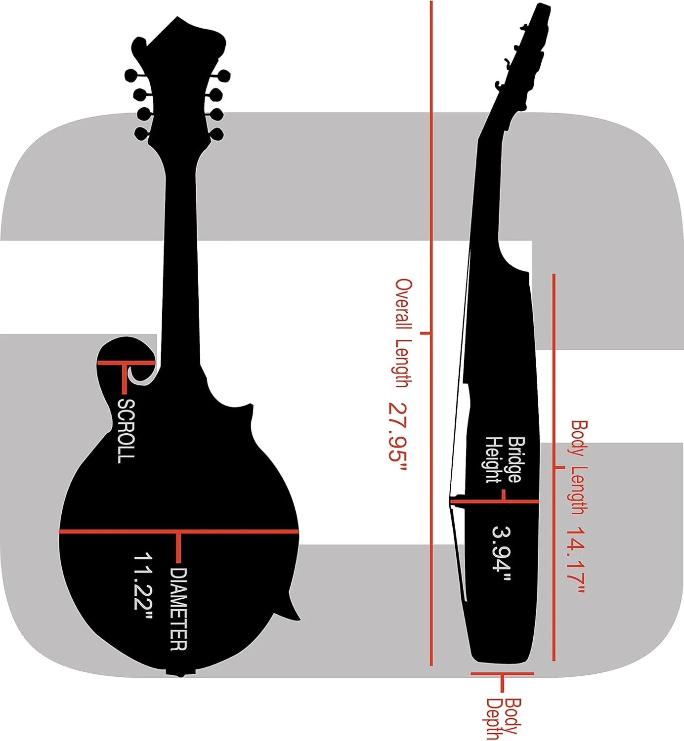 Crossrock Hard Shell Case for F-Style Mandolin in Black(CRW620MFBK)