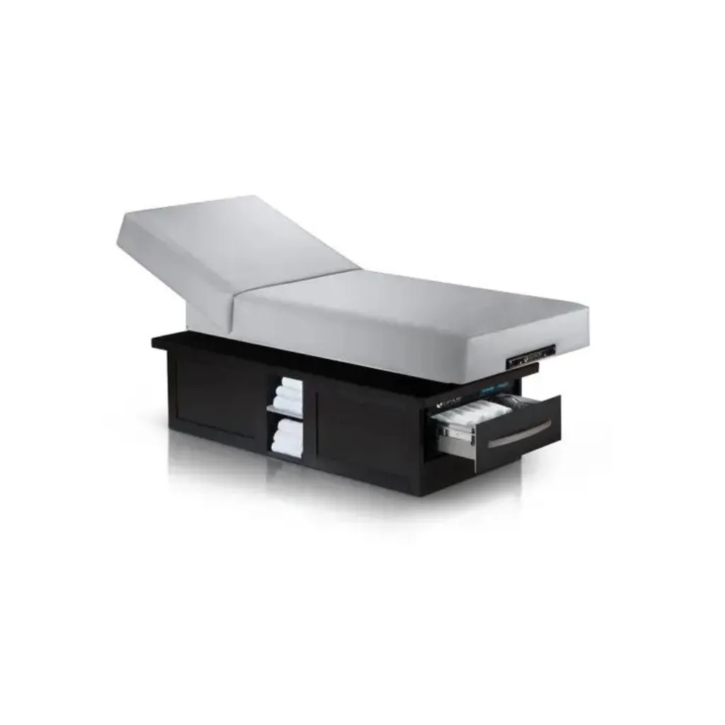 Earthlite Everest Eclipse Electric Tilt Table