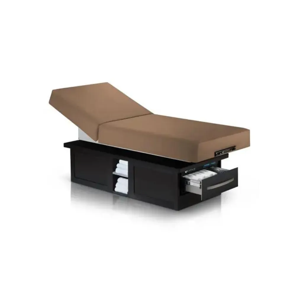 Earthlite Everest Eclipse Electric Tilt Table