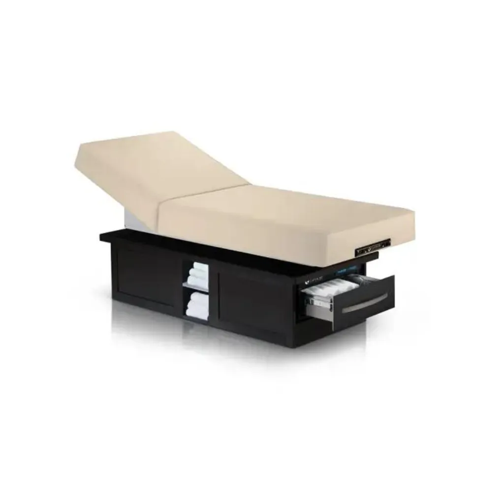 Earthlite Everest Eclipse Electric Tilt Table