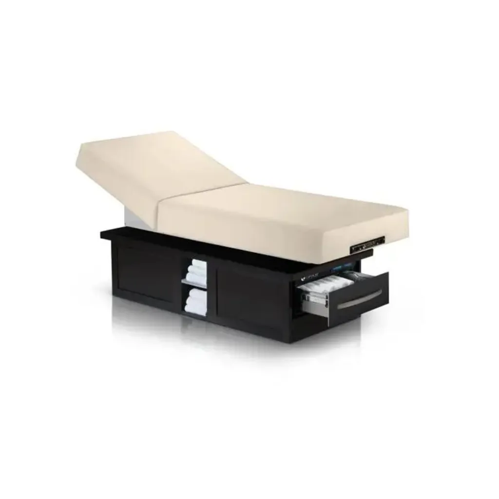 Earthlite Everest Eclipse Electric Tilt Table