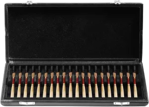 Leather Clarinet And Saxophone Storage Case With 20 Slots, Hard Protection Box For S