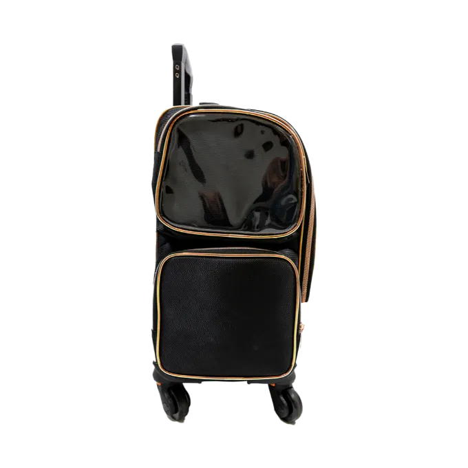 Medium Sized Make Up Luggage