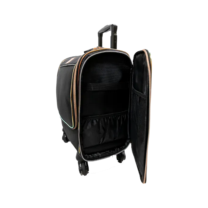 Medium Sized Make Up Luggage