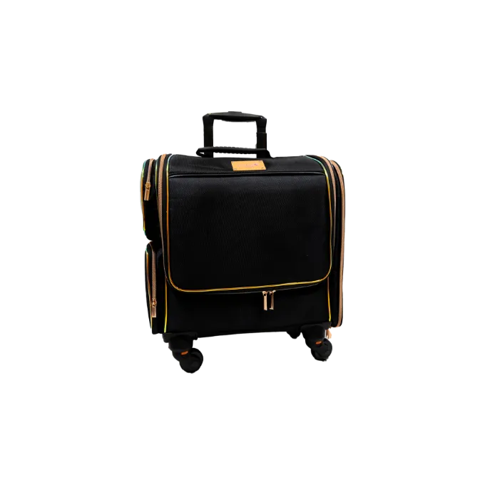 Medium Sized Make Up Luggage