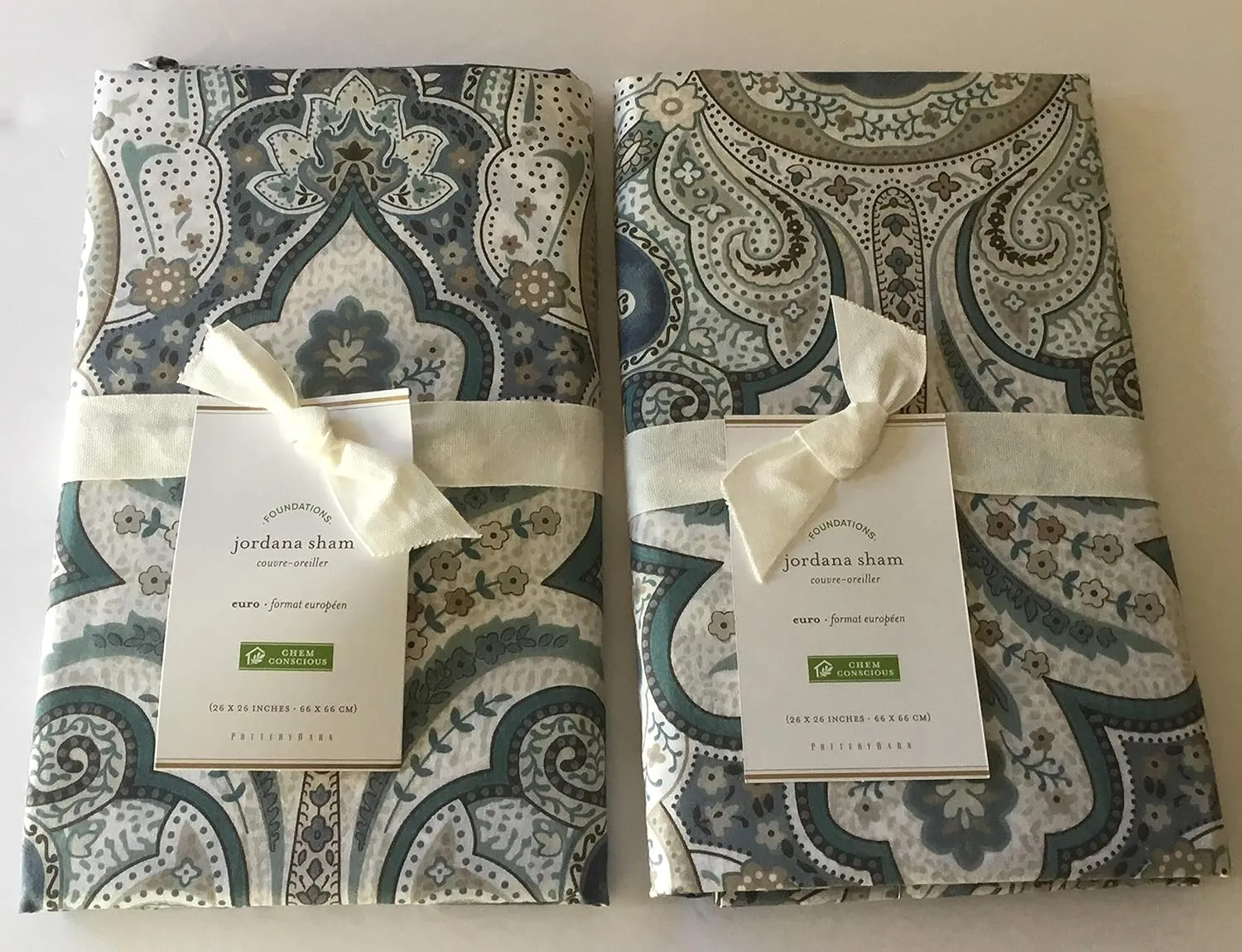 Pottery Barn Jordana Sham ~Euro~ Set of Two Blue