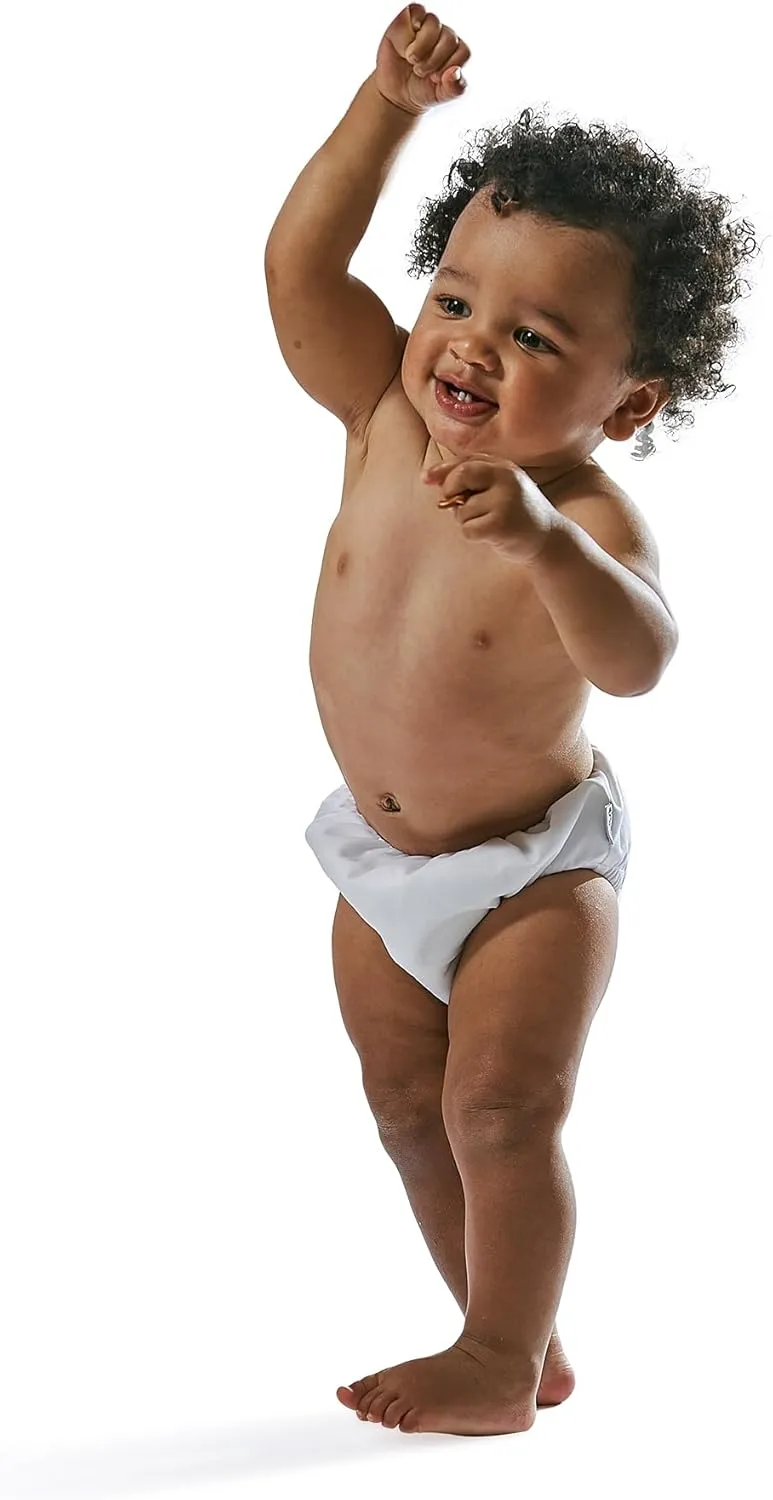 Pull-up Reusable Absorbent Swim Diaper, Aqua Simple Dino, 24 Months