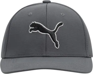 PUMA Evercat Dillon Stretch Fit Cap