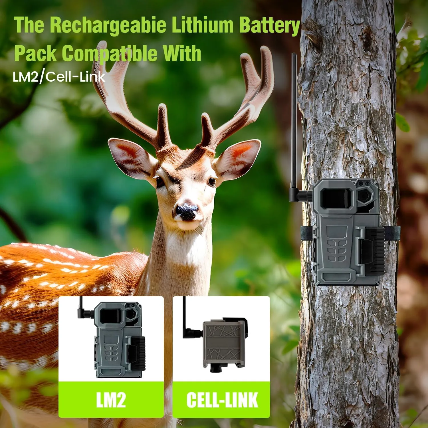 Rechargeable Lithium Battery Compatible with Hunting Trail Camera LM2/Cell-Link