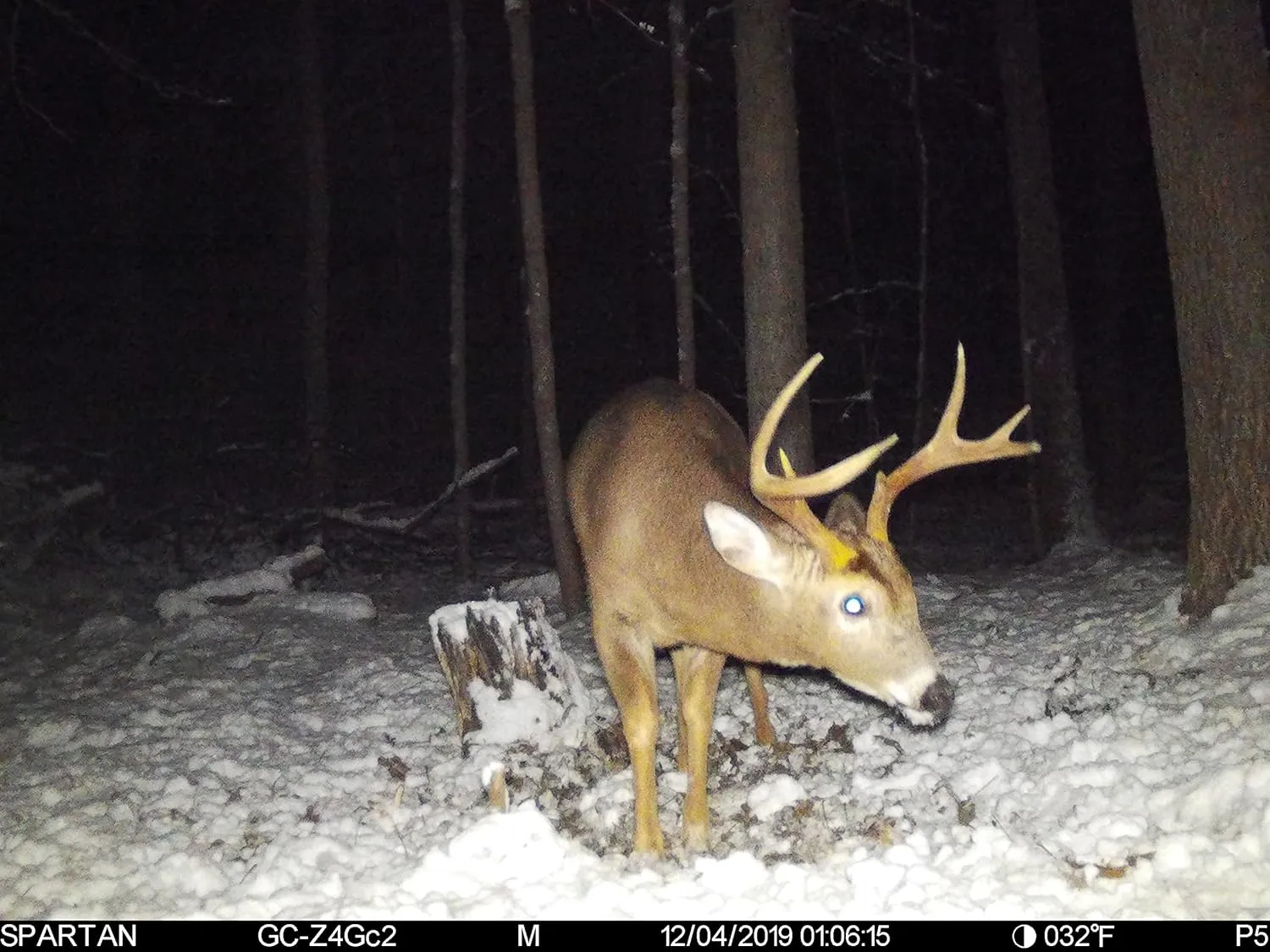 Spartan WhiteFlash 4G LTE Trail Camera,AT&T Certified,Hunting,Wildlife Monitoring,Ultra High-Res Day&Night Image&Video.Fast Detection,4-Month Battery Life.Fully Configurable via App,AreusCamo