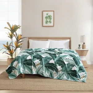 Tommy Bahama - King Blanket, Ultra Soft Plush Bedding, Coastal Inspired Bedding Essentials, Oeko-Tex Certified (Vintage Palms Green, King)